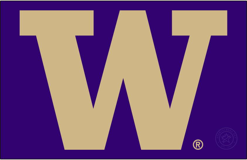 Washington Huskies 2016-Pres Alt on Dark Logo iron on transfers for T-shirts